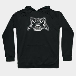 Predator Mouth Hoodie